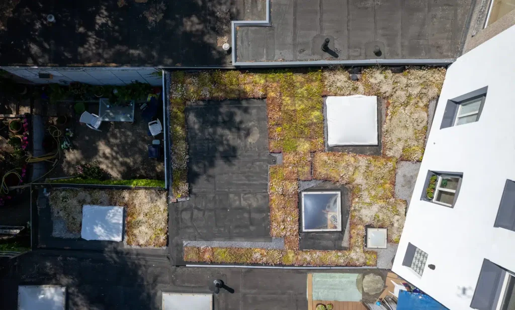 Waarom een sedumdak de perfecte keuze is voor duurzaam wonen